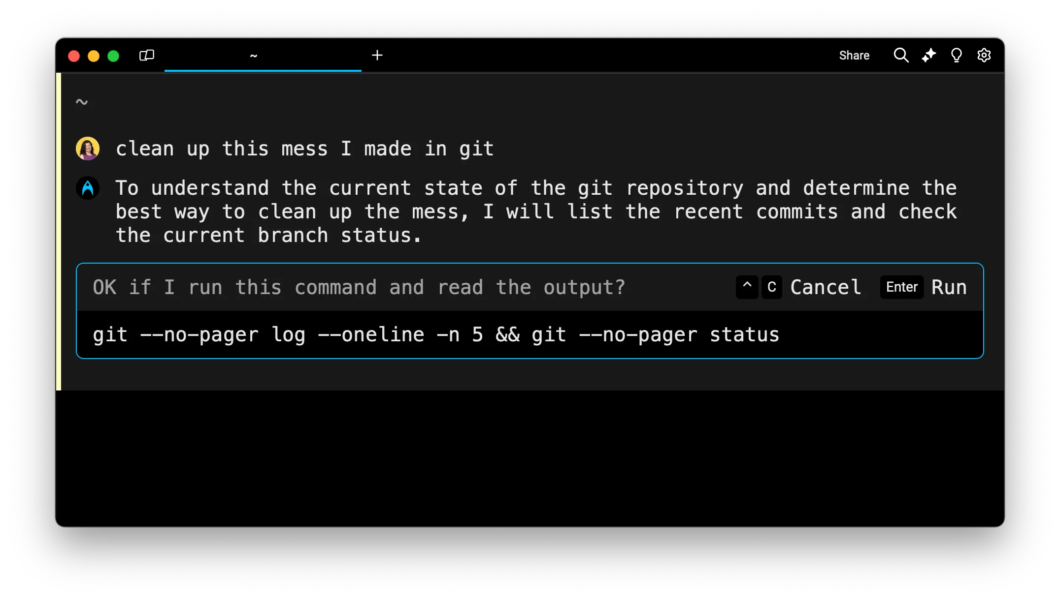 The agent asks permission to run a command and read the output.